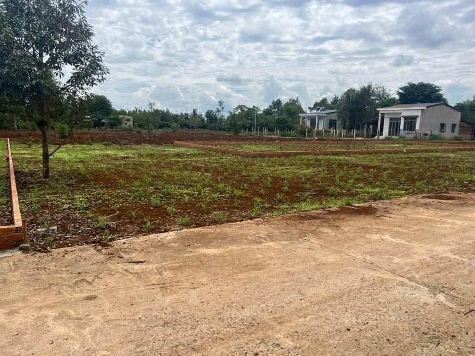 Đất thổ cư 1.100m² tại Phường Ea Tam - Giá chỉ 1,5 tỷ - Sổ đỏ chính chủ!