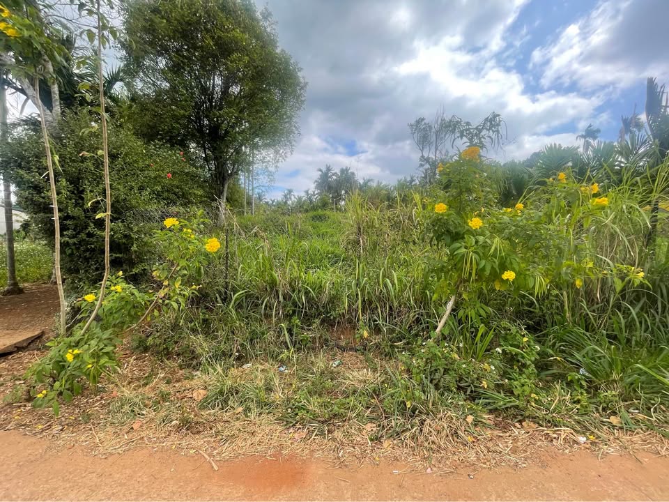 Đất nền Phường Tân Lập Đắk Lắk 280m² giá 2 tỷ - Vị trí vàng gần chợ và trường học!