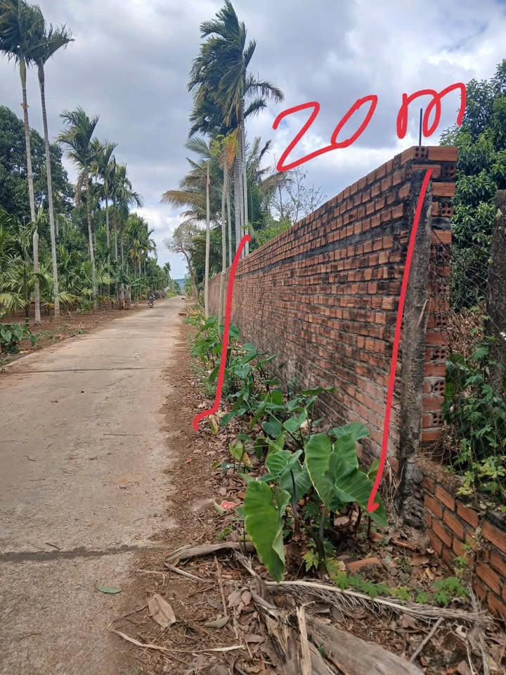 Đất thổ cư 1 sào tại Xã Ea Kao, Buôn Ma Thuột, giá 2 tỷ - Cơ hội đầu tư tuyệt vời!