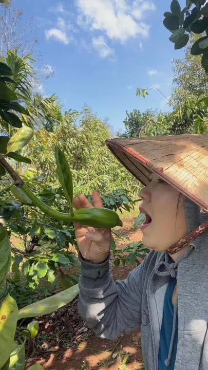 Kho bãi Quốc lộ 26 Huyện Cư M'gar 320m² giá 9.5 tỷ - Cơ hội đầu tư sinh lời!