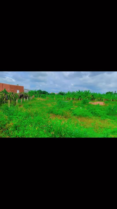 Đất nền 1120m² Xã Hàm Hiệp - Gần Phan Thiết, giá 1 tỷ - Cơ hội đầu tư hấp dẫn!