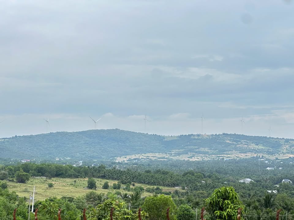 Đất thổ cư tại Mũi Né, Phan Thiết 3384m² - Cơ hội đầu tư homestay sinh lời!