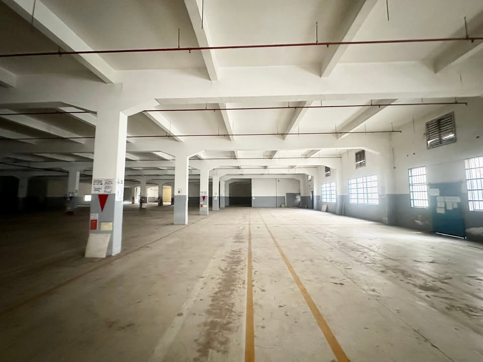 Cho thuê kho cao cấp tại Khu Công Nghệ Cao, TP. Thủ Đức - Diện tích linh hoạt từ 1.000m² đến 10.000m²