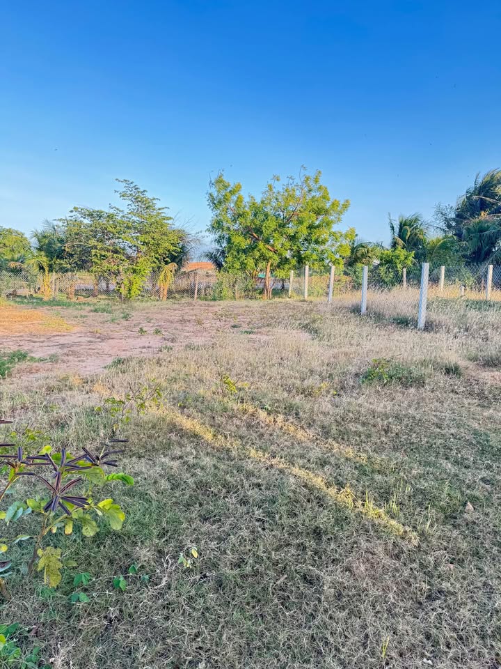 Đất nền Phường Long Bình 118m² & 122m² giá chỉ 800 triệu - Cơ hội đầu tư lý tưởng!