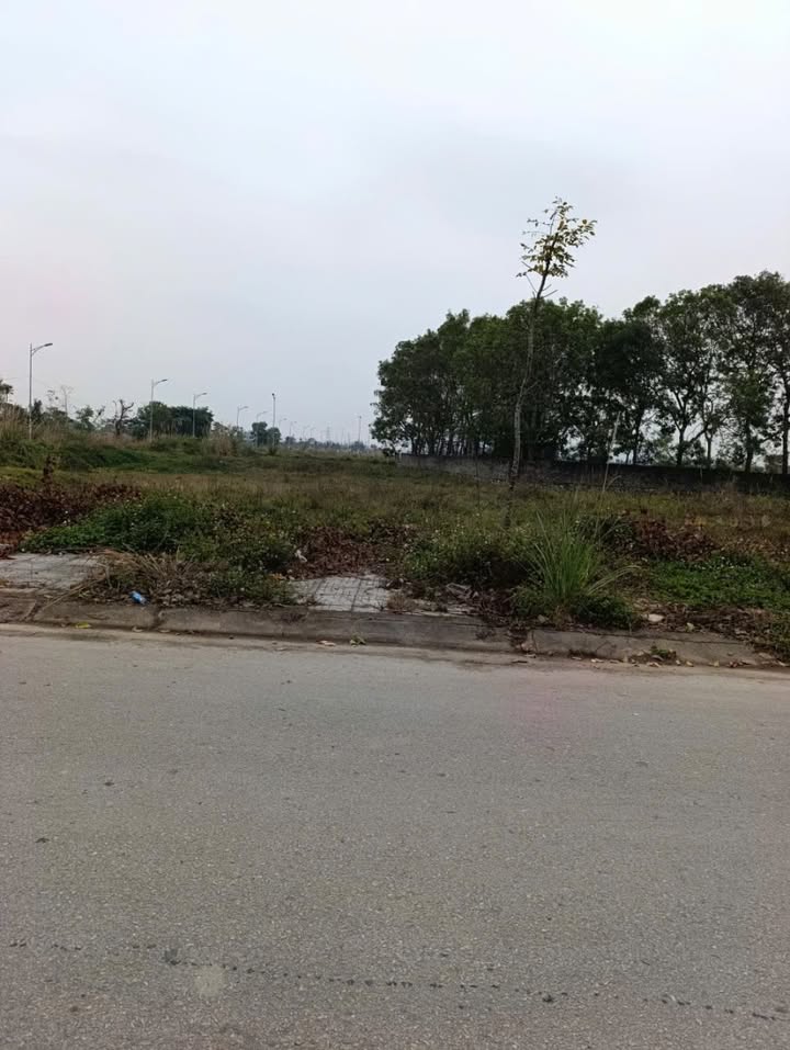 Đất nền mặt tiền QL47, phường Đông Thịnh, 95m² - Cơ hội đầu tư không thể bỏ lỡ!