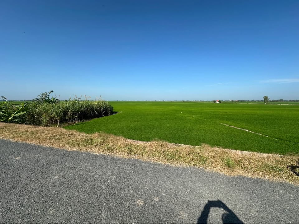 Đất nền Kênh Ba Gà, Xã Phú Cường, 900m² chỉ 4.05 tỷ - Cơ hội đầu tư sinh lời!