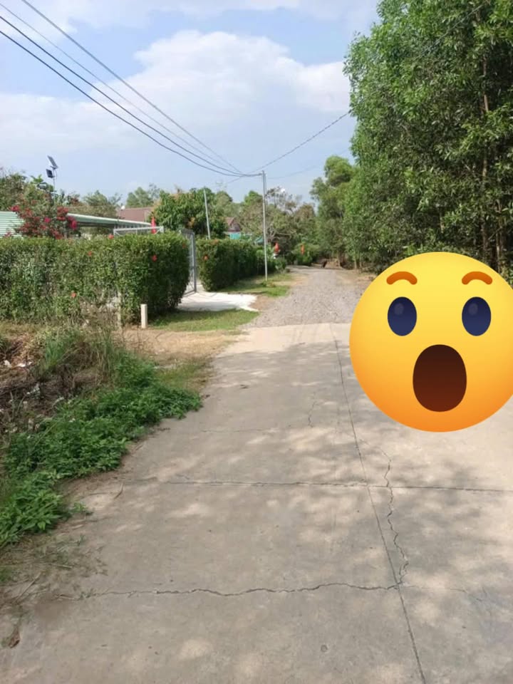 Đất thổ cư 100m² tại Xuân Ngọc, Xuân Trường giá chỉ 900 triệu - Đầu tư sinh lời ngay!