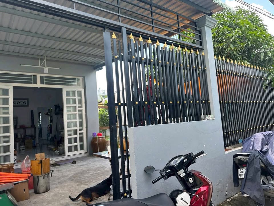 Nhà vườn đẹp Phước Lâm - 241m² giá chỉ 1.29 tỷ - Cơ hội sở hữu ngay!