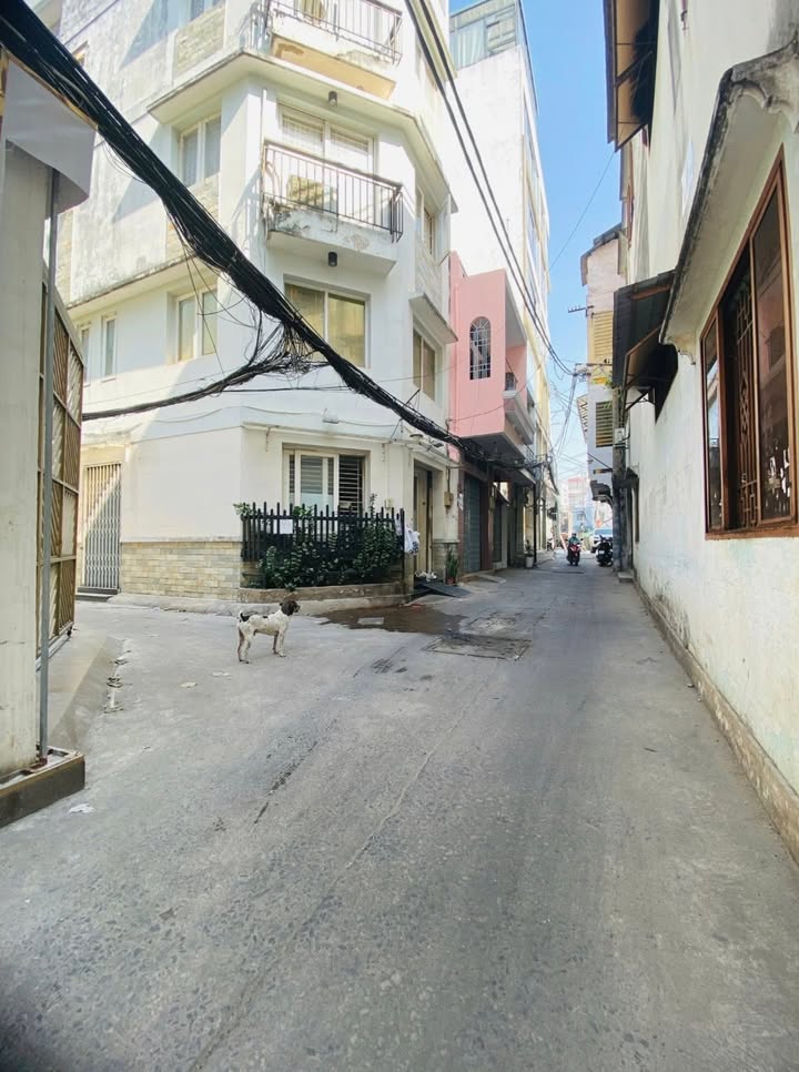 Đất nền đẹp CMT8 Quận 10, 80m² giá 8 tỷ - Tiềm năng đầu tư cao!