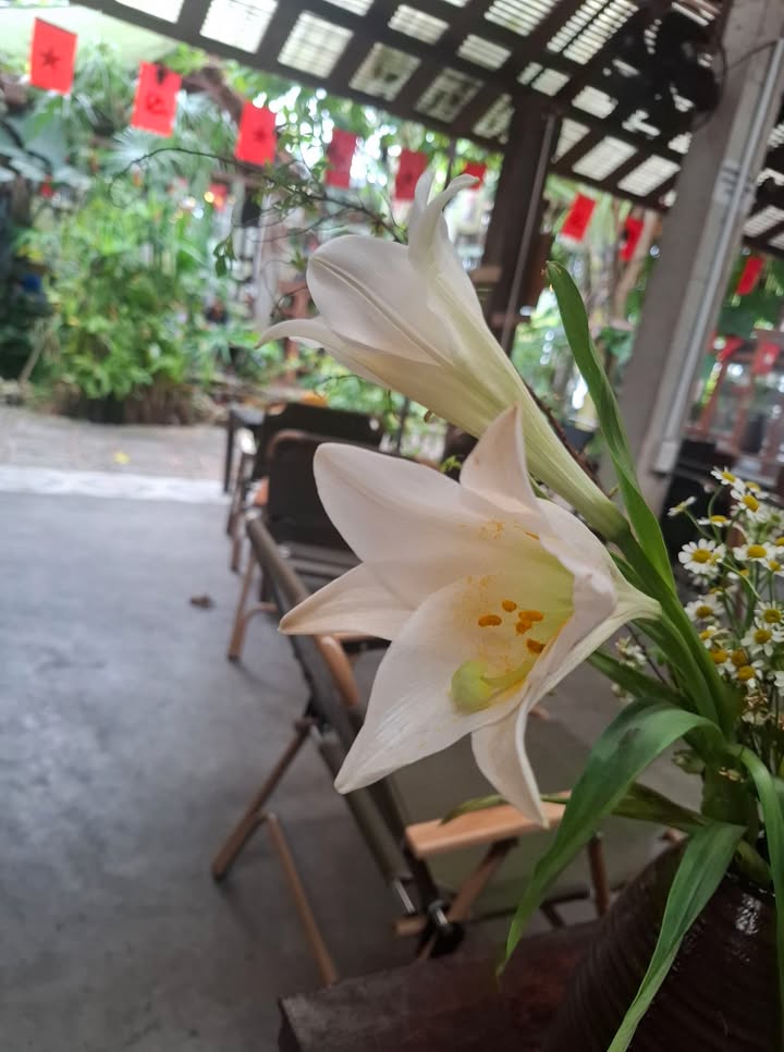 Đất nền Phong Niên Hạ, 120m² giá 500 triệu - Cơ hội đầu tư hấp dẫn!