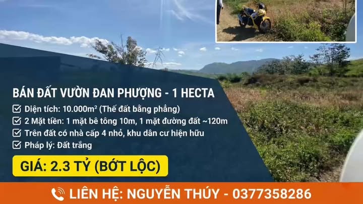 Đất nền 1 hecta tại Lâm Hà, Lâm Đồng - Cơ hội đầu tư hấp dẫn!