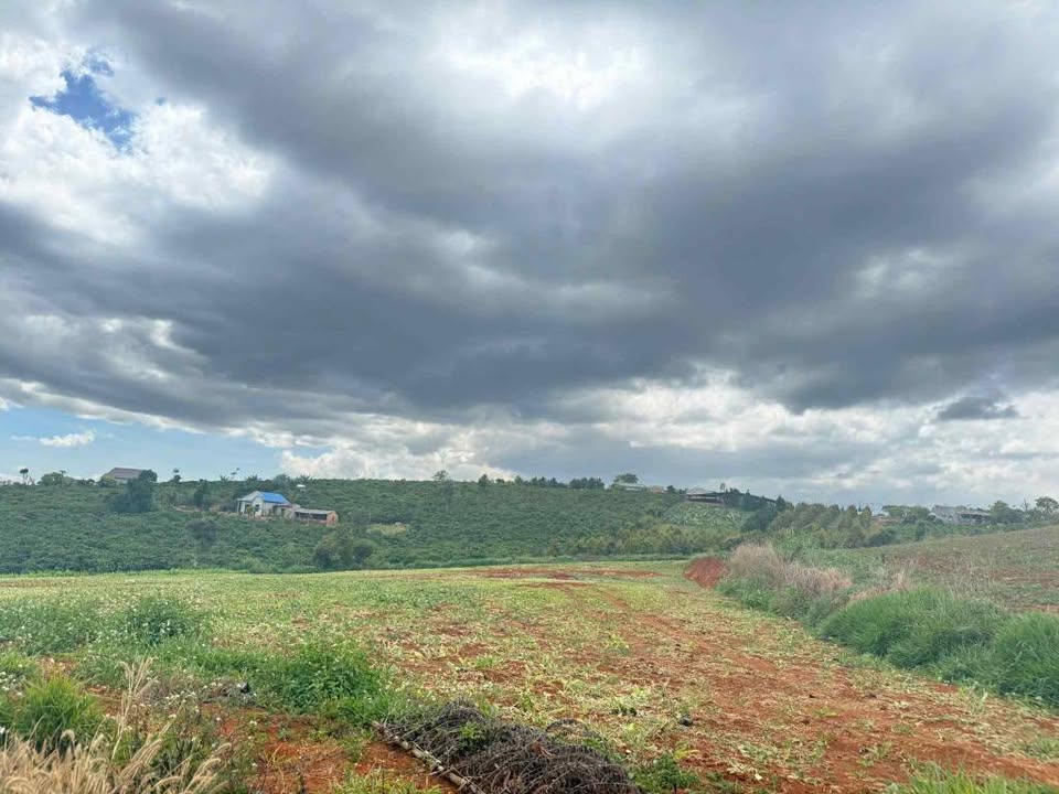 Đất nền Nam Hà Lâm Hà 1200m² giá 1.199 tỷ - Bán gấp trước Tết!