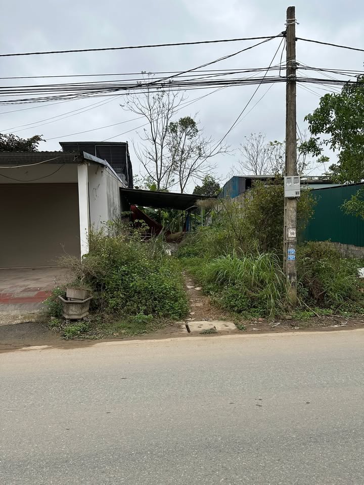 Đất nền Tân Phương, Thanh Thủy 100m² giá 1 tỷ - Đầu tư sinh lời ngay!