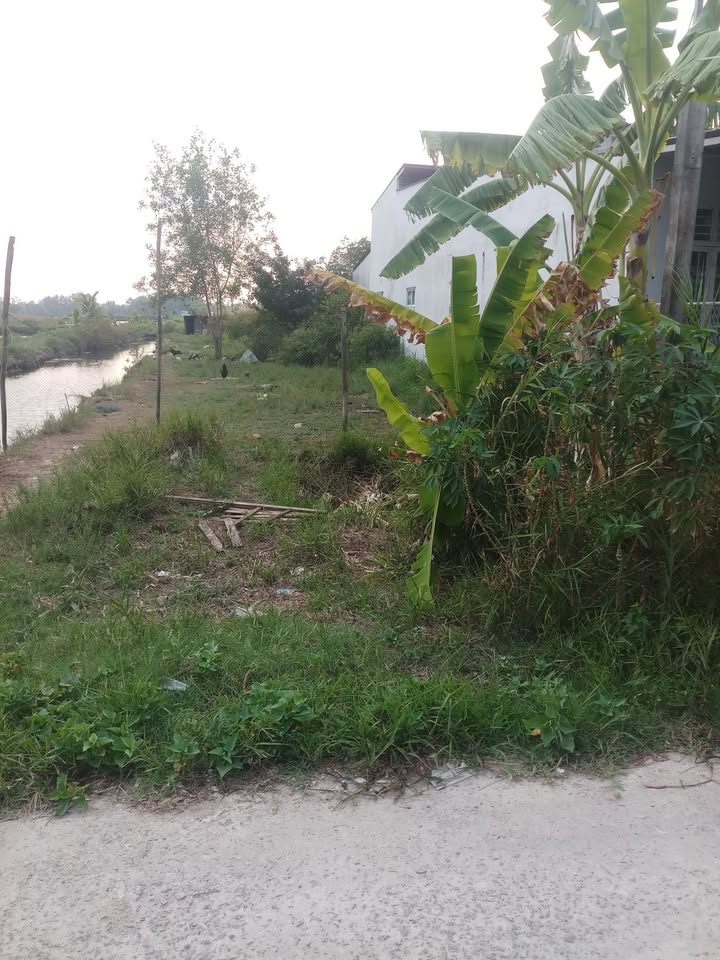 Đất vườn 632m² Phường 8, Cà Mau giá 1.5 tỷ - Đầu tư sinh lời ngay!