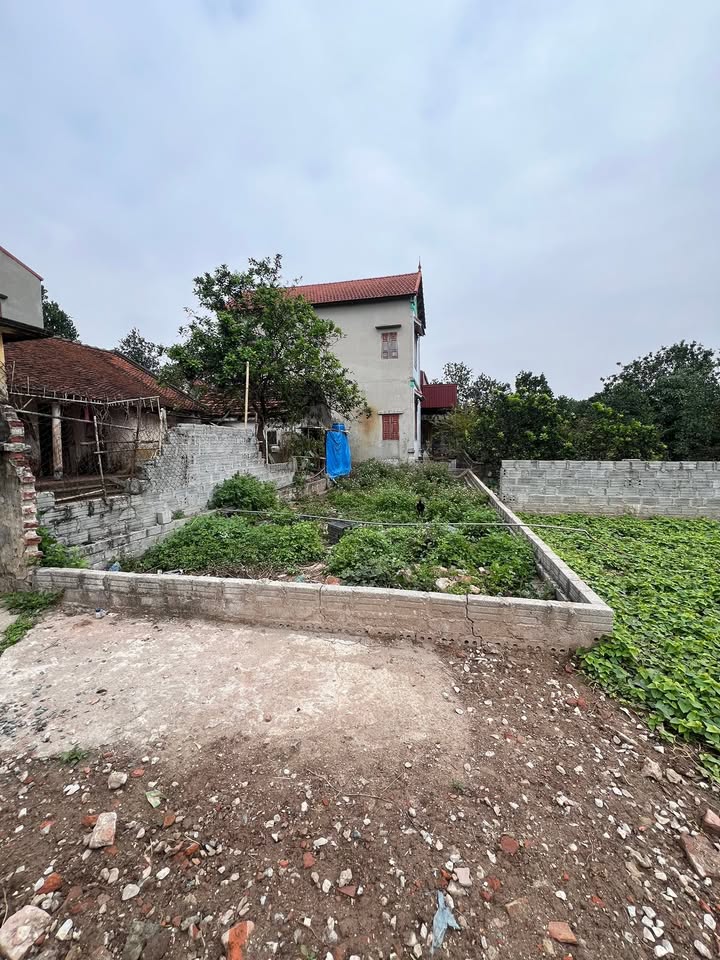 Đất nền 80m² Xã Tân Minh giá 4 tỷ - Đầu tư sinh lời ngay!