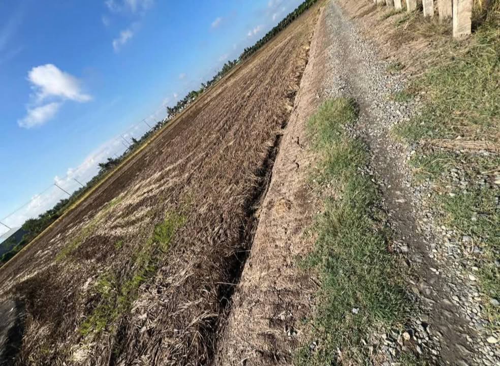 Đất nền 1500m² tại xã Bình Trinh Đông, chỉ 850 triệu - Vị trí đắc địa