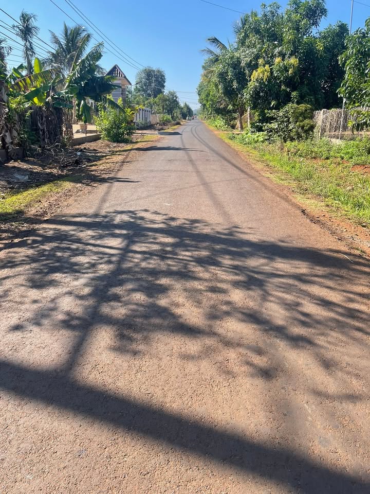 Đất nền Thôn 3 Cư Suê 148m² giá 470 triệu - Cơ hội đầu tư vàng!