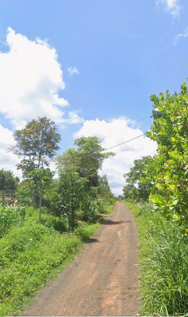 Đất nền Cư Suê, Cư M'gar 140m² giá 330 triệu - Đầu tư tiềm năng!