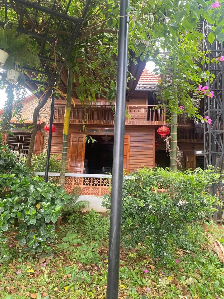 Farm đất vàng tại Krông Pắc, Đắk Lắk 2400m² - Đầu tư sinh lời cho đại gia!