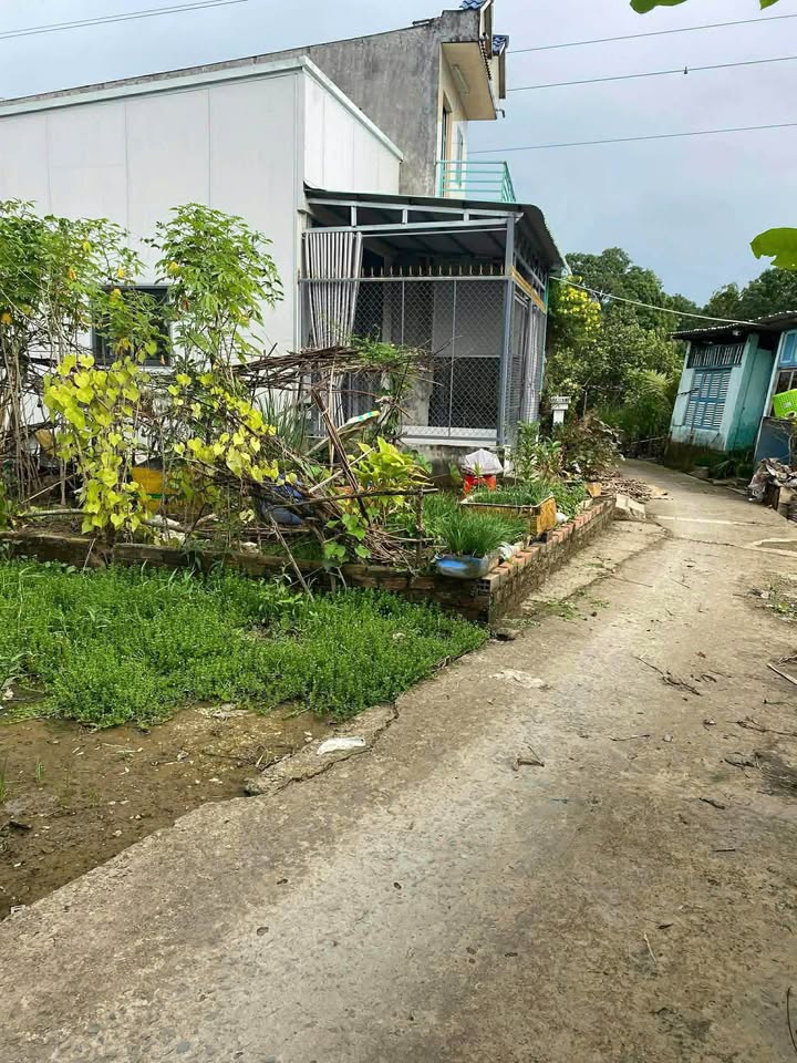 Đất thổ cư 100m² tại Ô Môn, Cần Thơ - Chỉ 450 triệu, hướng Tây Nam!