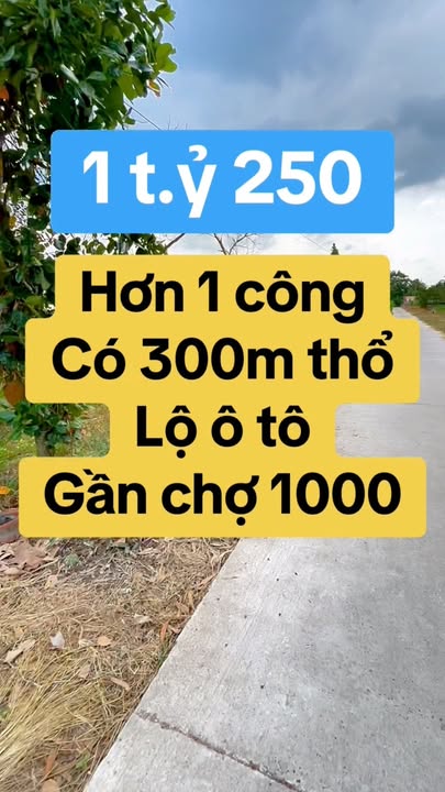 Đất nền 1.177m² tại Thới Thuận, Thốt Nốt - Giá thỏa thuận, cơ hội đầu tư hấp dẫn!