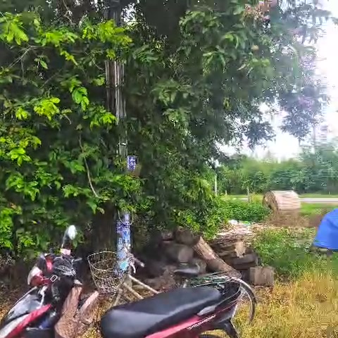 Đất nền Hương lộ 2 Trảng Bàng 450m² giá 2.3 tỷ - Đầu tư tiềm năng ngay trung tâm!