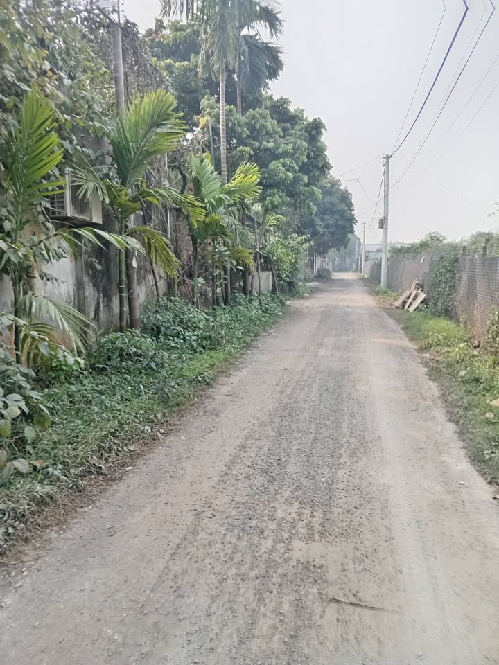 Đất nền 1850m² huyện Hoài Đức giá chỉ 3.7 tỷ - Sổ hồng chính chủ sẵn sàng giao dịch!