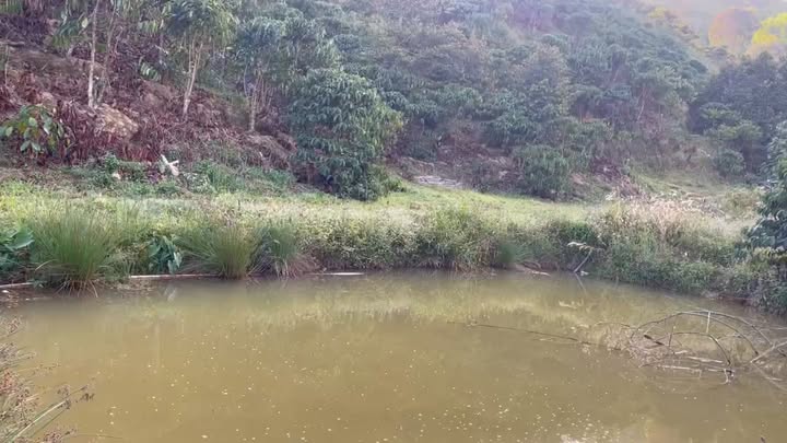 Đất nền 1.75ha tại Thôn Tân Tiến, Đam Rông, Lâm Đồng - Giá chỉ 1.65 tỷ, thương lượng mạnh tay!