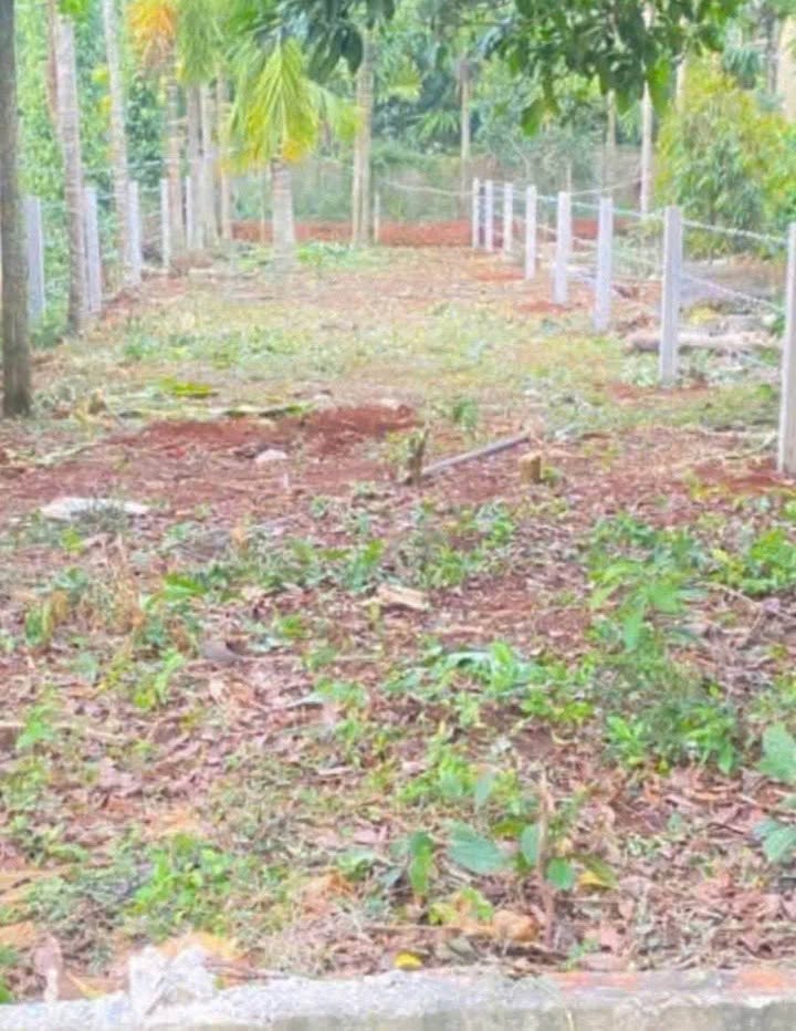 Đất mặt tiền KA7 – ETU, Buôn Ma Thuột 150m² giá 1.896 tỷ - Đầu tư lý tưởng!