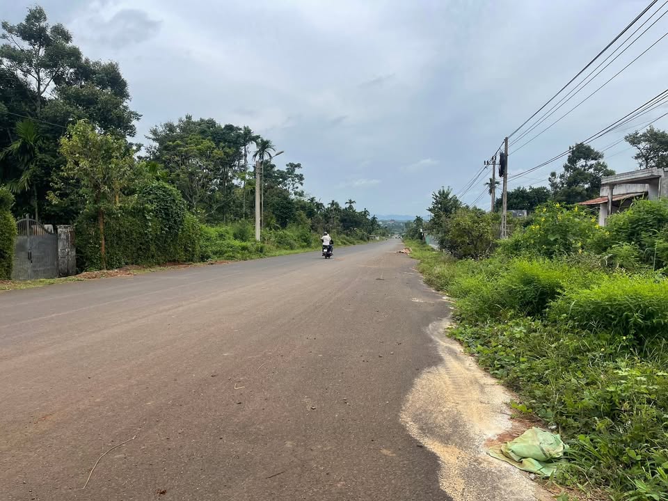 Đất nền Komleo, Phường Tân Lập 500m² giá 74.5 tỷ - Vị trí đắc địa mặt đường 24m!