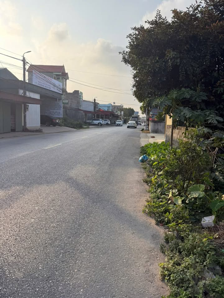 Mặt tiền kinh doanh Đường 304, Câu Trung, 112m² - Cơ hội đầu tư tuyệt vời!