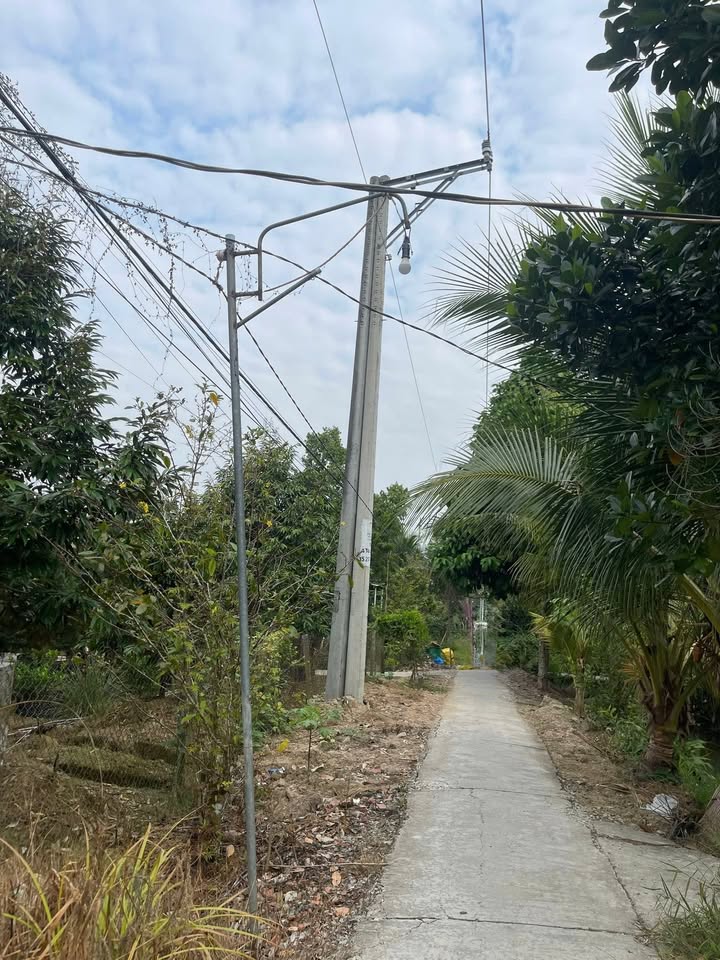 Đất Farm 2 Công tại Xã Long Tiên, Huyện Cai Lậy, Tiền Giang giá 2 tỷ - Tiềm năng đầu tư lớn!