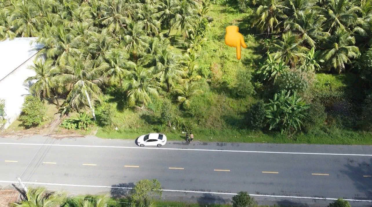 Đất nền mặt tiền ĐT883, xã Phú Túc, 557m² giá 4.3 tỷ - Cơ hội đầu tư sinh lời!