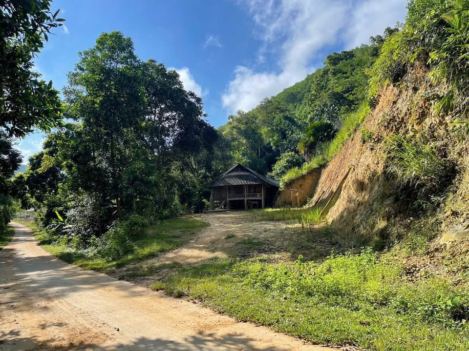 Đất Farm 4,2ha tại Đú Sáng, Kim Bôi Hòa Bình giá 5 tỷ - Sổ đỏ chính chủ!