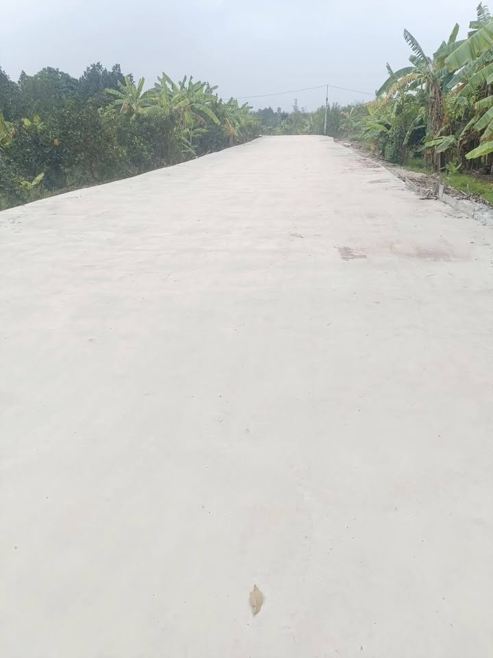 Đất trồng cây lâu năm tại Đại Hưng 2388m² - Lô góc 2 mặt tiền đẹp