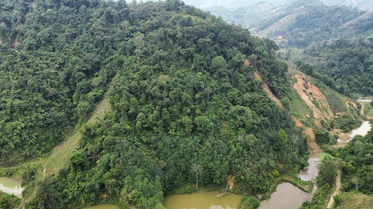 Lô đất Farm 10000m² tại Đổng Xá, Na Rì - Giá chỉ 100 triệu!