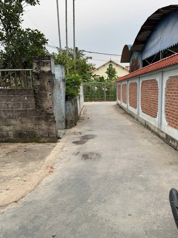 Đất nền phường An Hồng, Hải Phòng 88m² giá chỉ 900 triệu - Cơ hội đầu tư tuyệt vời!