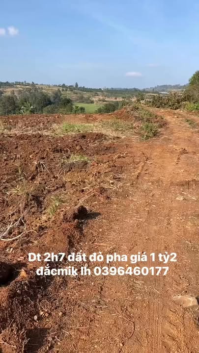 Đất nền xã Đắk R'La, huyện Đắk Mil 20.000m² giá 1.2 tỷ - Cơ hội đầu tư hấp dẫn!