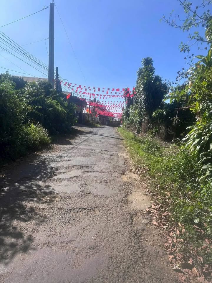 Đất nền thôn 5 Lộc An 147m² giá 550 triệu - Sổ đỏ chính chủ sẵn sàng giao dịch!