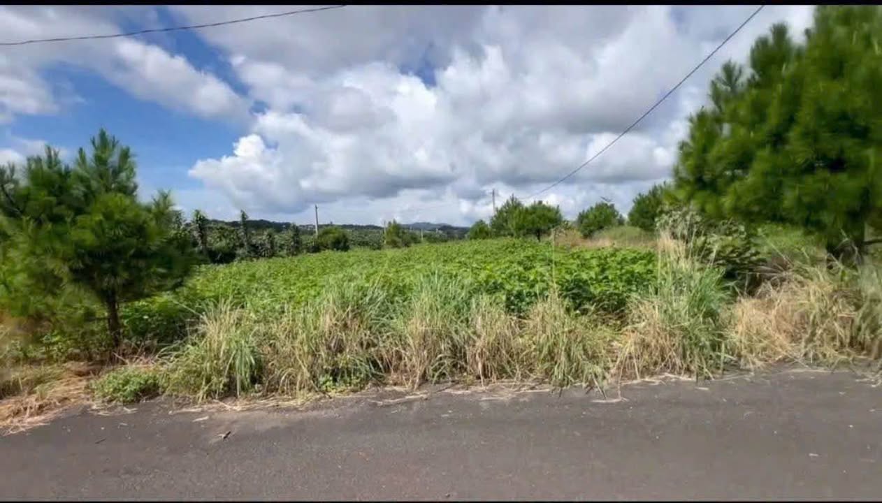 Đất mặt tiền 3 mặt đường Lý Thái Tổ, Bảo Lộc 680m² giá 1.5 tỷ - View đẹp tuyệt vời!