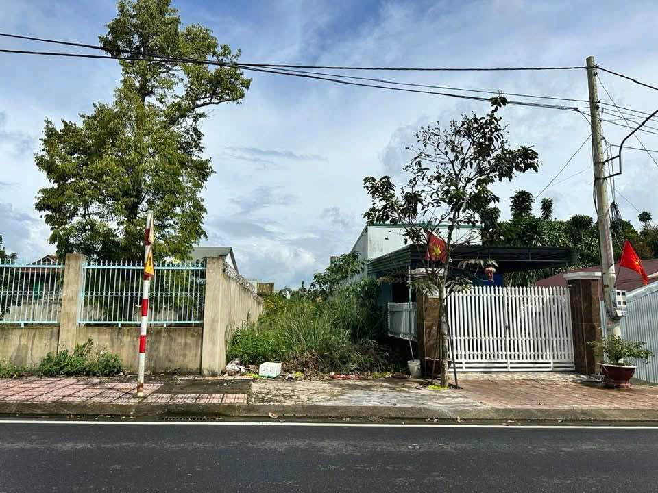 Đất mặt tiền Tây Sơn, Bảo Lộc 100m² giá 3.9 tỷ - Đầu tư sinh lời ngay!