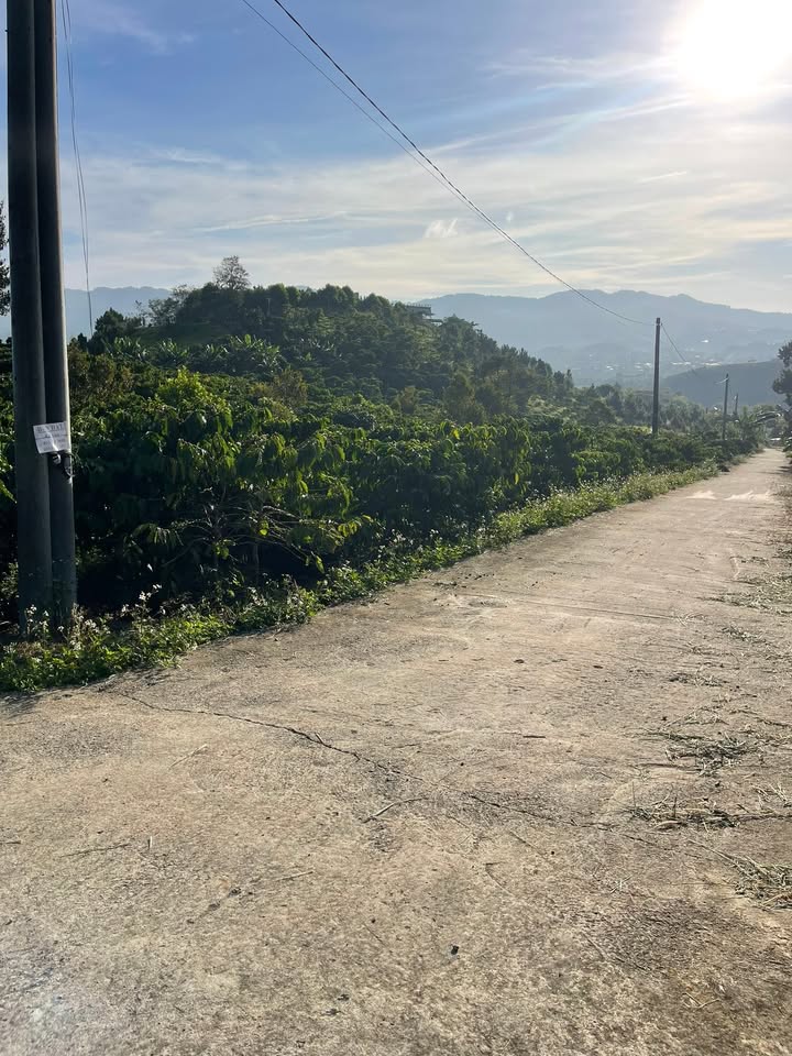 Đất nền 1079m² Thôn 4, Xã Đại Lào - Giá chỉ 1.2 tỷ, cơ hội đầu tư hấp dẫn!