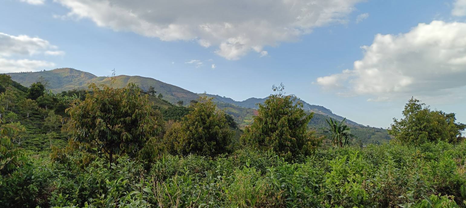 Đất nền 12,600m² tại QL55, Huyện Bảo Lâm, Lâm Đồng – Sổ hồng chính chủ, ôm 3 mặt đường, view thoáng đẹp!