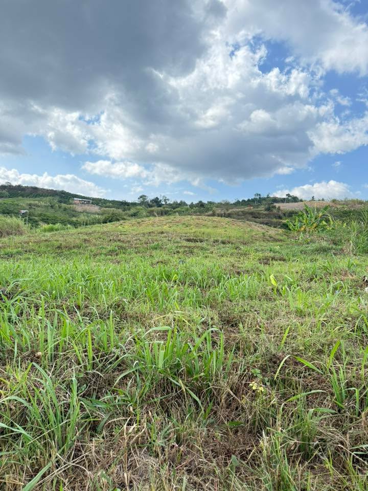 Đất nền 2160m² tại Tân Thành, Lâm Hà giá chỉ 1.79 tỷ - Sổ đỏ chính chủ!