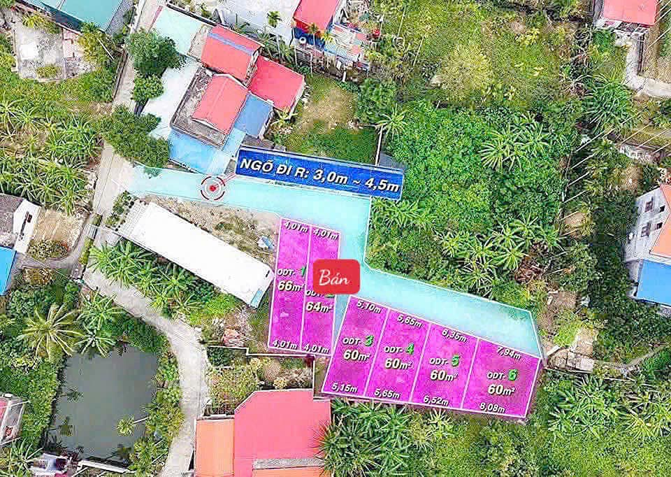 Đất Lâm Động Hải Phòng 64,2m² giá 1,2 tỷ - Đầu tư lý tưởng