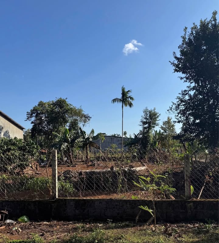 Bán FrontHouse mặt tiền D4 KoTam, Tân An, 125m² giá 1.07 tỷ - Cơ hội đầu tư tuyệt vời!