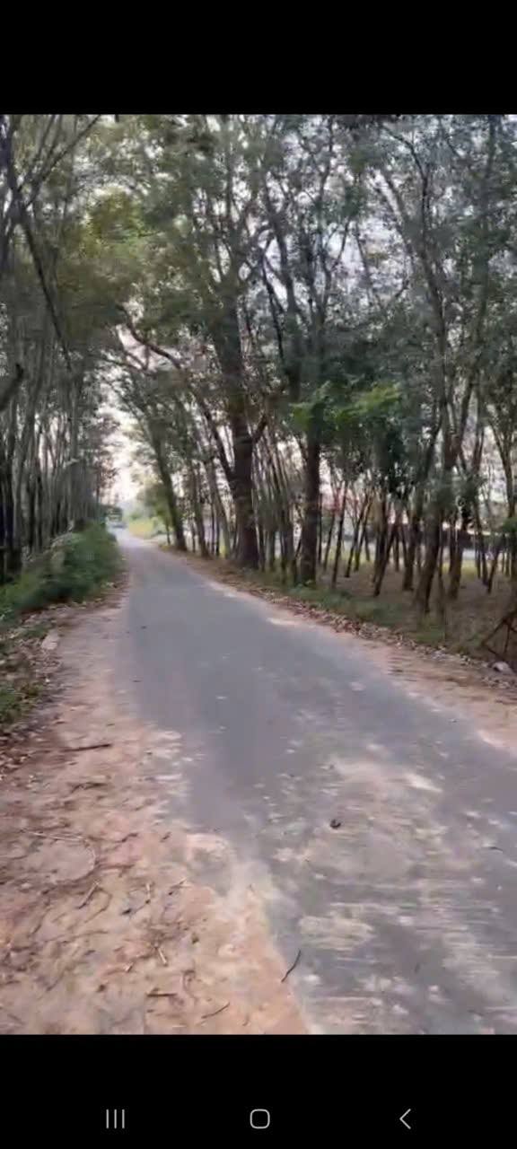 Kho xưởng 7500m² tại Chánh Lưu, Phú Giáo chỉ 12 tỷ - Cơ hội đầu tư hấp dẫn!