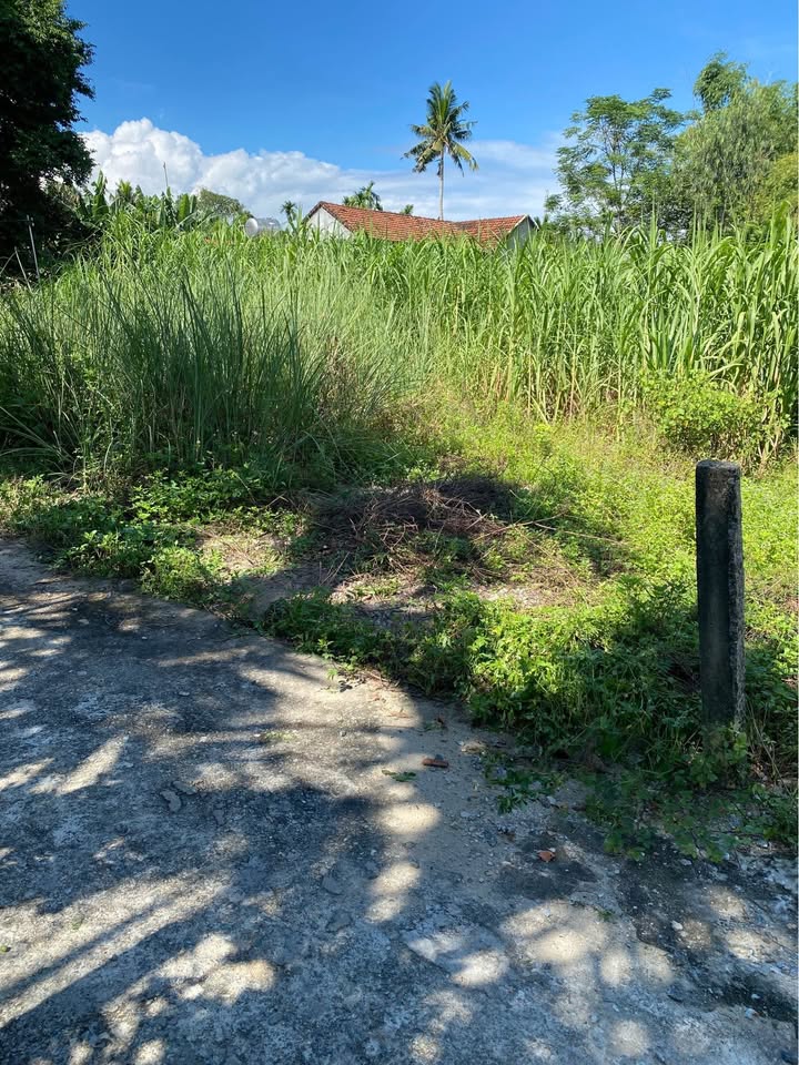 Đất ở phường Quảng Phú 87m² giá chỉ 500 triệu - Cơ hội đầu tư sinh lời!