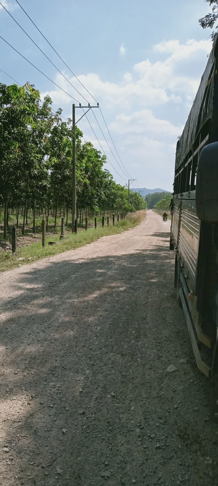 Đất Nền 30.000m² Tại Gia Huynh, Tánh Linh - Giá 2.85 Tỷ VND, Đường Container Rộng Rãi