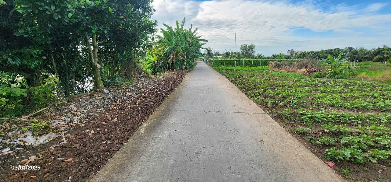 Đất nền thổ cư 135m² tại ấp Thạnh Hưng, Châu Thành giá chỉ 300 triệu - Đầu tư sinh lời nhanh!